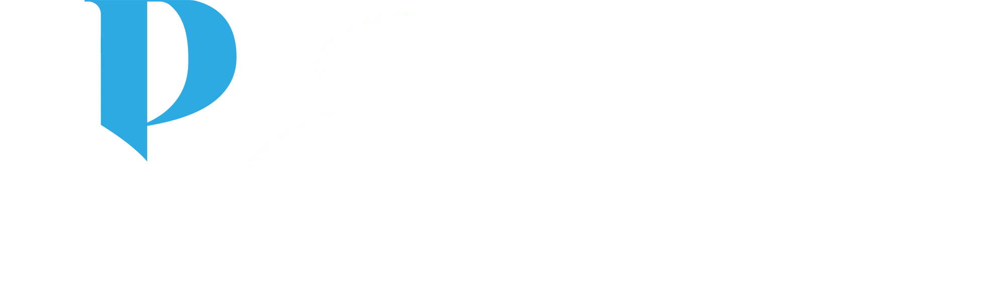 Starlet Proejct LLC - Digital Marketing